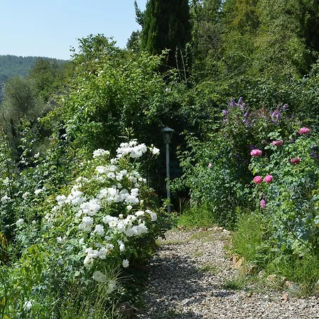 Podere Il Colto Bed & Breakfast Gaiole in Chianti