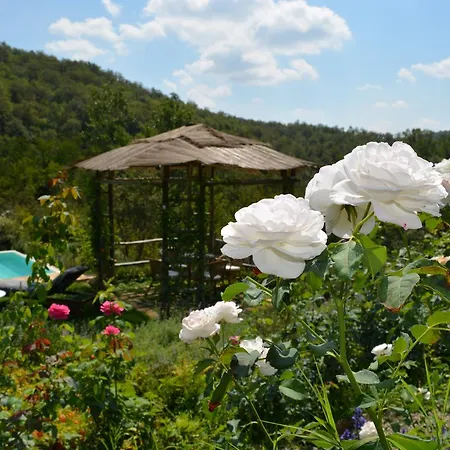 Podere Il Colto * Gaiole in Chianti