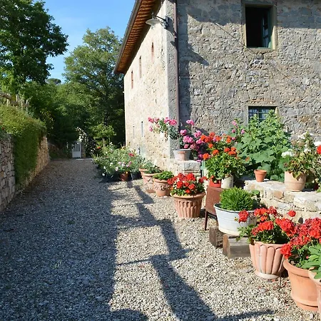 Podere Il Colto Bed & Breakfast