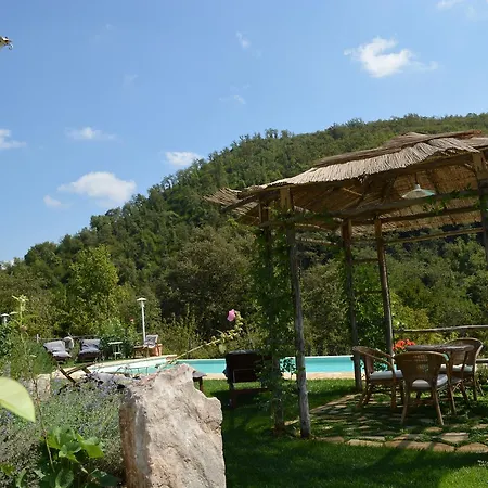 Podere Il Colto Bed and breakfast