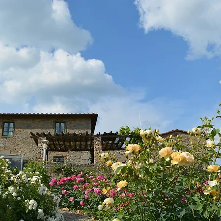 Podere Il Colto Bed & Breakfast Gaiole in Chianti