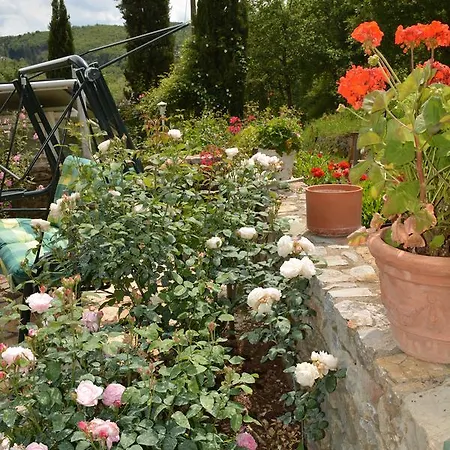 Podere Il Colto 3* Gaiole in Chianti